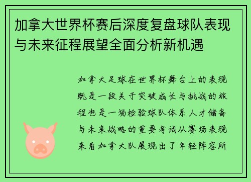 加拿大世界杯赛后深度复盘球队表现与未来征程展望全面分析新机遇